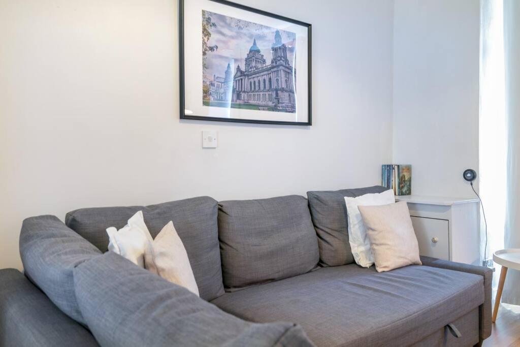 Cosy 2 Bedroom Town House Close To City Centre Belfast Eksteriør billede