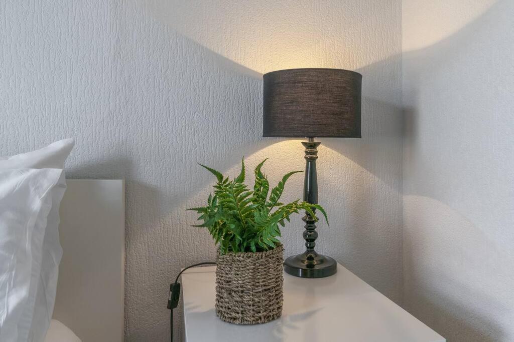 Cosy 2 Bedroom Town House Close To City Centre Belfast Eksteriør billede
